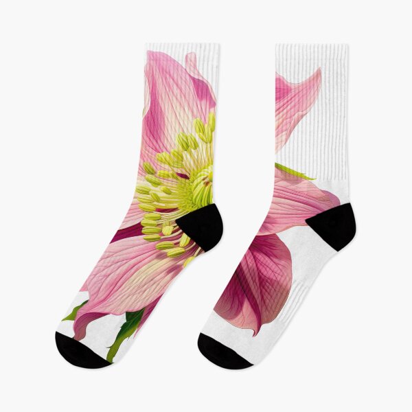 Item preview, Detailed Pink Hellebore Flower Illustration designed and sold by CharlieDesings.
