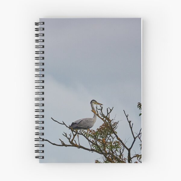 Item preview, The Unlikely Perch designed and sold by Eidetic Photos.