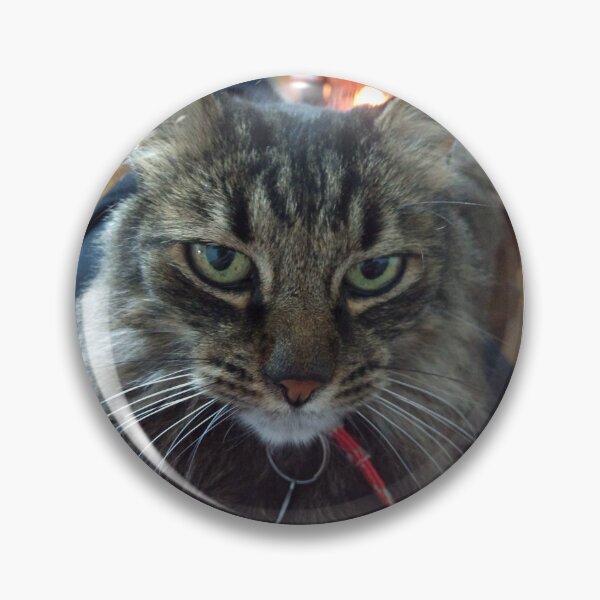 Item preview, Intense Feline Gaze – Portrait of a Tabby Cat designed and sold by Golazos.