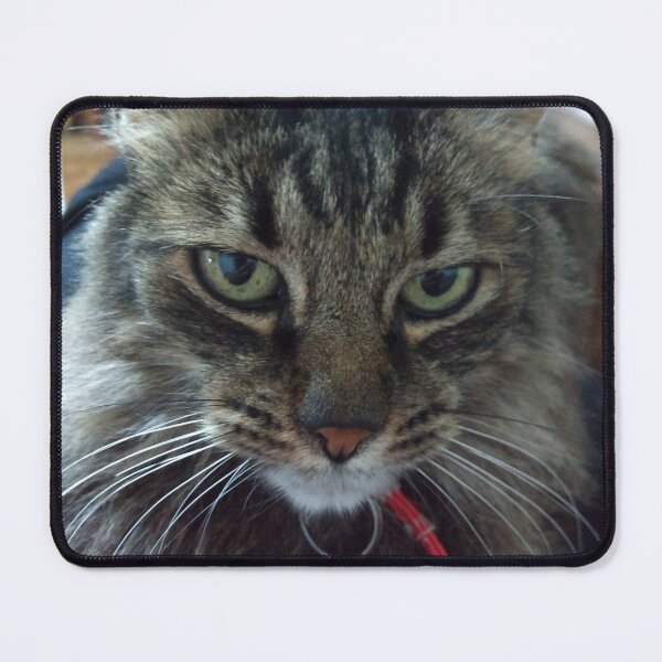 Item preview, Intense Feline Gaze – Portrait of a Tabby Cat designed and sold by Golazos.