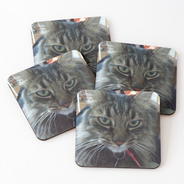Item preview, Intense Feline Gaze – Portrait of a Tabby Cat designed and sold by Golazos.
