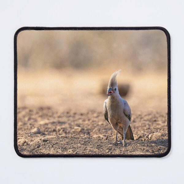 Item preview, The Go-Away Bird designed and sold by Kay Brewer.