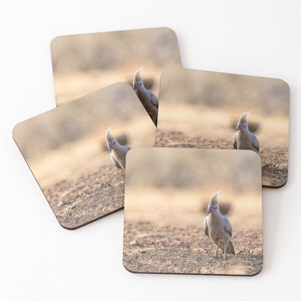 Item preview, The Go-Away Bird designed and sold by Kay Brewer.