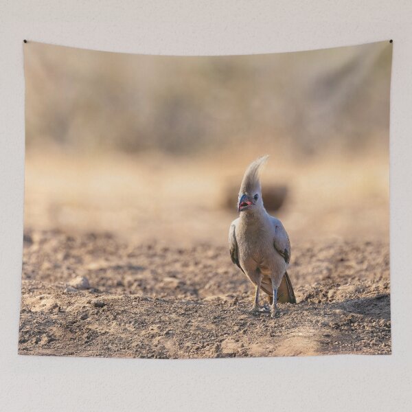 Item preview, The Go-Away Bird designed and sold by Kay Brewer.