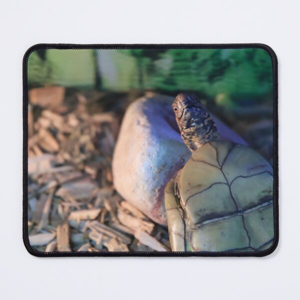 Item preview, Portrait of a Curious Box Turtle designed and sold by izzetsafer.
