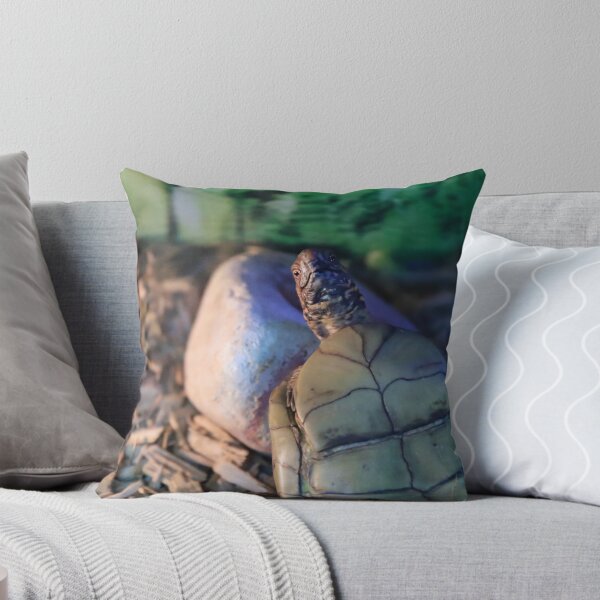 Item preview, Portrait of a Curious Box Turtle designed and sold by izzetsafer.