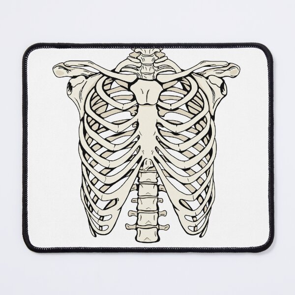 Item preview, human ribcage designed and sold by Blockhead Designs.