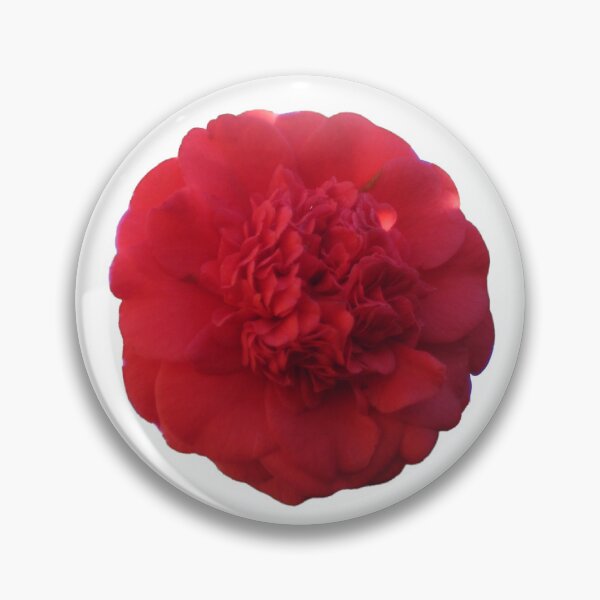Item preview, Red Camellia Bloom, Symbolic of Undying Love and Devotion, Touched by Sunlight Die Cut designed and sold by JoyousArt4u.