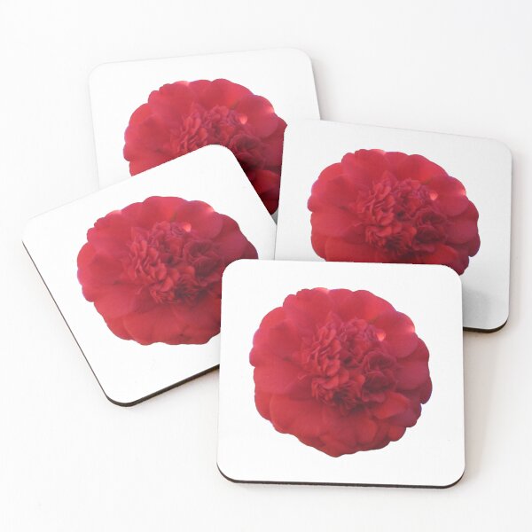 Item preview, Red Camellia Bloom, Symbolic of Undying Love and Devotion, Touched by Sunlight Die Cut designed and sold by JoyousArt4u.