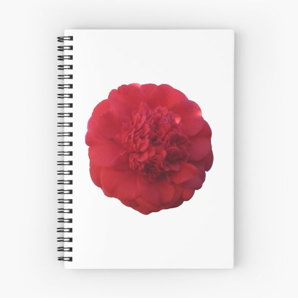 Item preview, Flor de camelia roja, símbolo de amor y devoción eternos, tocada por la luz del sol, troquelada. designed and sold by JoyousArt4u.
