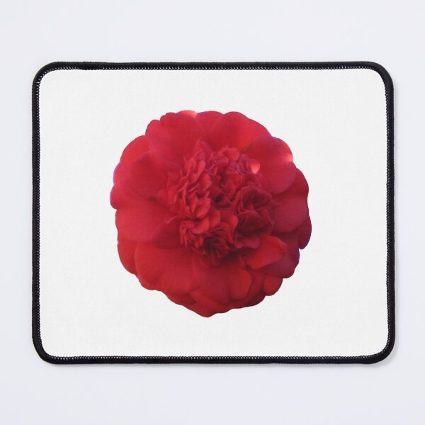 Item preview, Red Camellia Bloom, Symbolic of Undying Love and Devotion, Touched by Sunlight Die Cut designed and sold by JoyousArt4u.