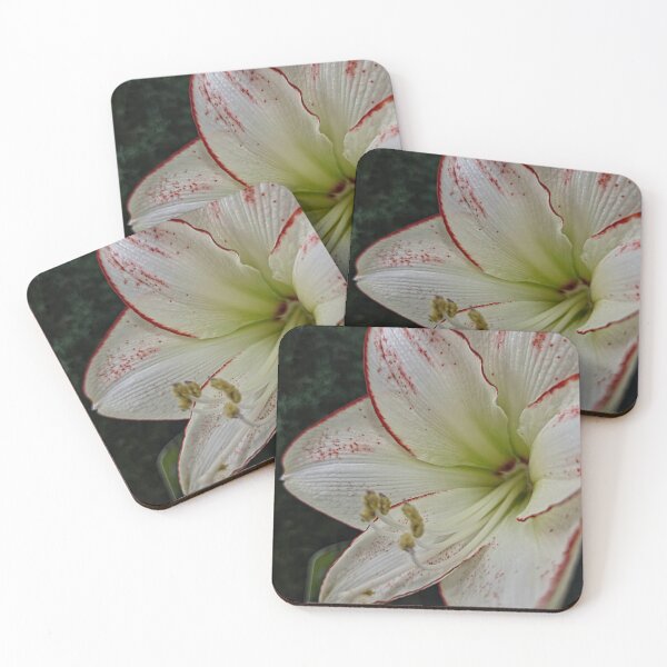 Item preview, Harmony in Contrast designed and sold by Betsy Phillips.