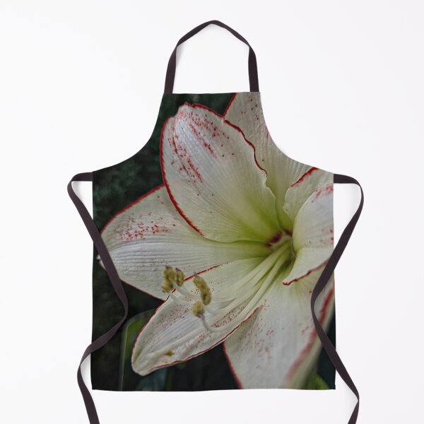 Item preview, Harmony in Contrast designed and sold by Betsy Phillips.