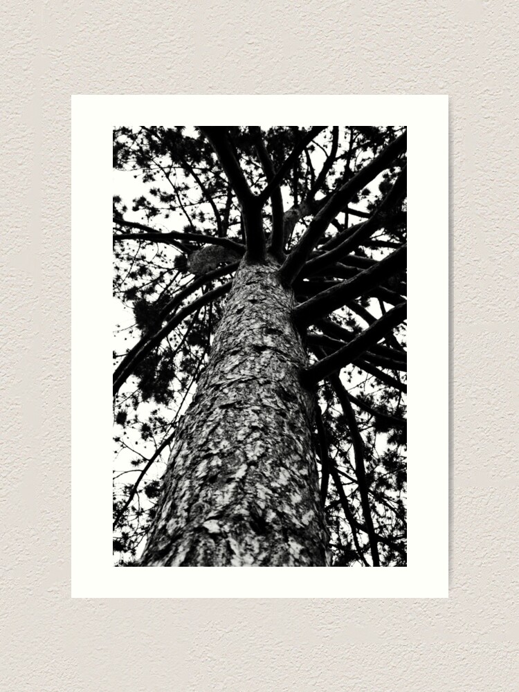 Alternate view of Monochrome Tree Art Print