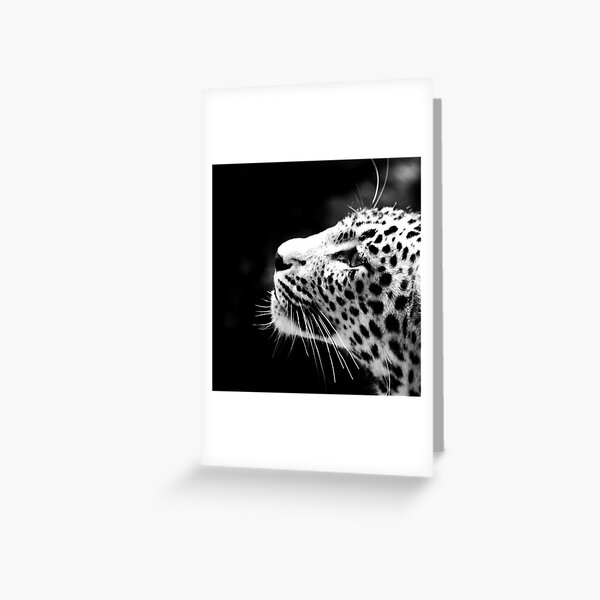 Monochrome Leopard Greeting Card