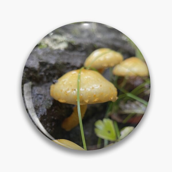Item preview, Growing where the nutrients are designed and sold by LainaCoopPhotos.