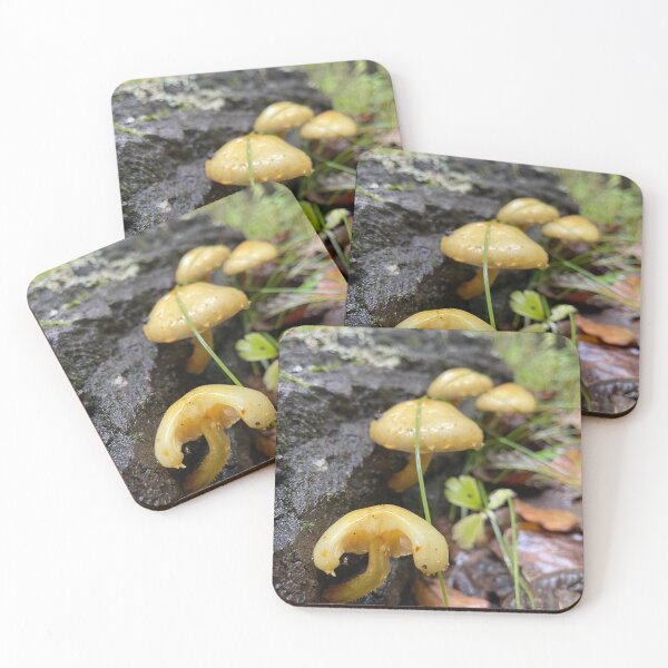 Item preview, Growing where the nutrients are designed and sold by LainaCoopPhotos.