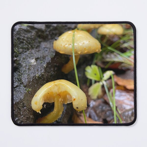 Item preview, Growing where the nutrients are designed and sold by LainaCoopPhotos.