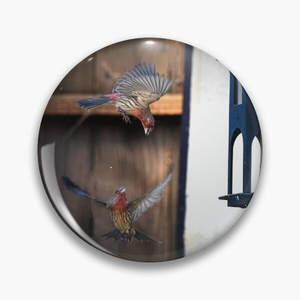 Item preview, Two House Finches Squabbling at the Feeder designed and sold by CarolM.