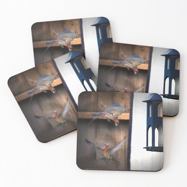 Item preview, Two House Finches Squabbling at the Feeder designed and sold by CarolM.