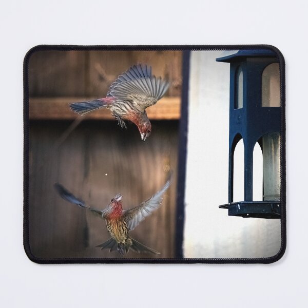 Item preview, Two House Finches Squabbling at the Feeder designed and sold by CarolM.