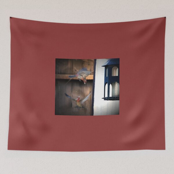 Item preview, Two House Finches Squabbling at the Feeder designed and sold by CarolM.