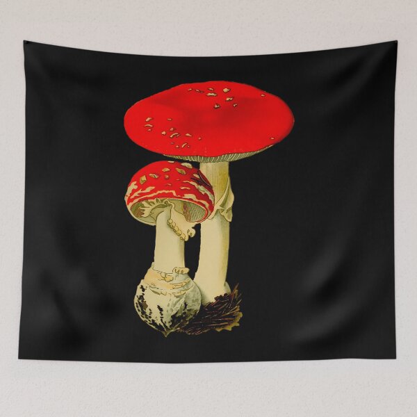 Item preview, Amanita Mushroom Botanical designed and sold by funderherrliy.