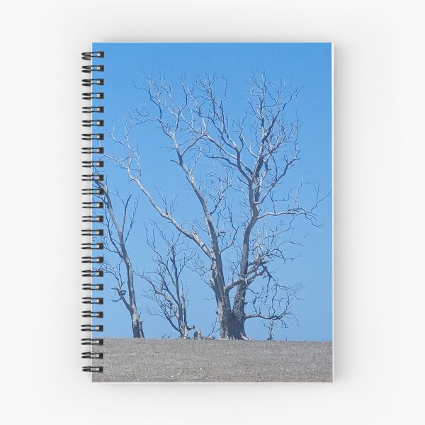 Item preview, old trees designed and sold by DebbieWay.