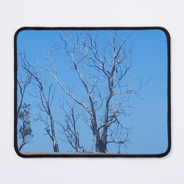Item preview, old trees designed and sold by DebbieWay.
