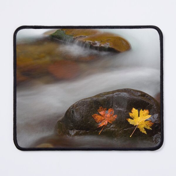 Item preview, Castaways designed and sold by DawsonImages.