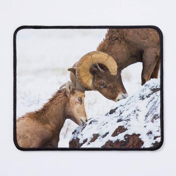 Item preview, Uphill Battle designed and sold by DawsonImages.