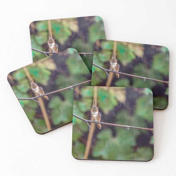 Item preview, Little Hummer Shaking off the Rainwater designed and sold by CarolM.