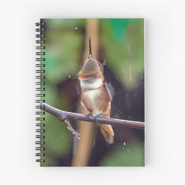 Item preview, Little Hummer Shaking off the Rainwater designed and sold by CarolM.