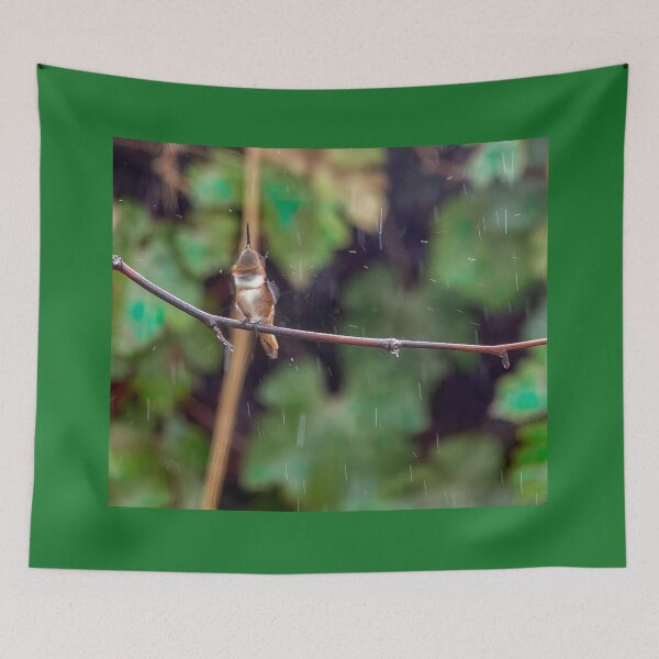 Item preview, Little Hummer Shaking off the Rainwater designed and sold by CarolM.