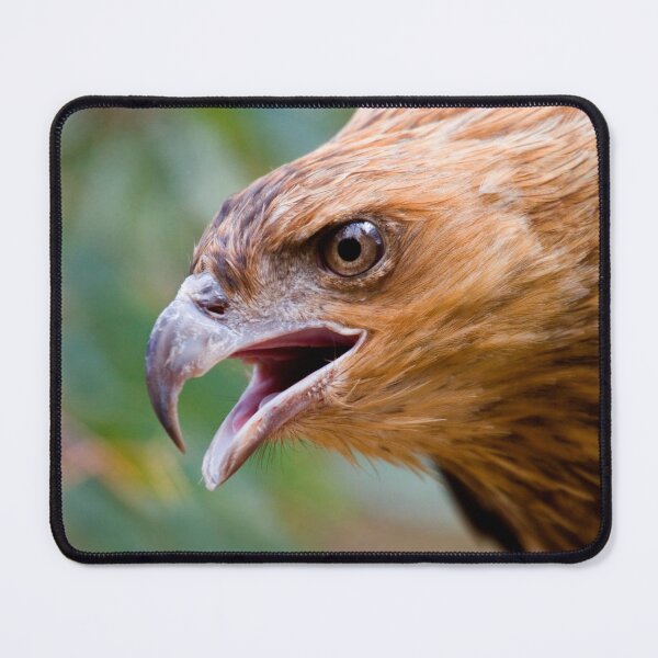 Item preview, Intensity designed and sold by DawsonImages.