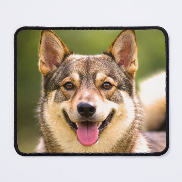 Item preview, Swedish Vallhund Dog designed and sold by BackgroundND.