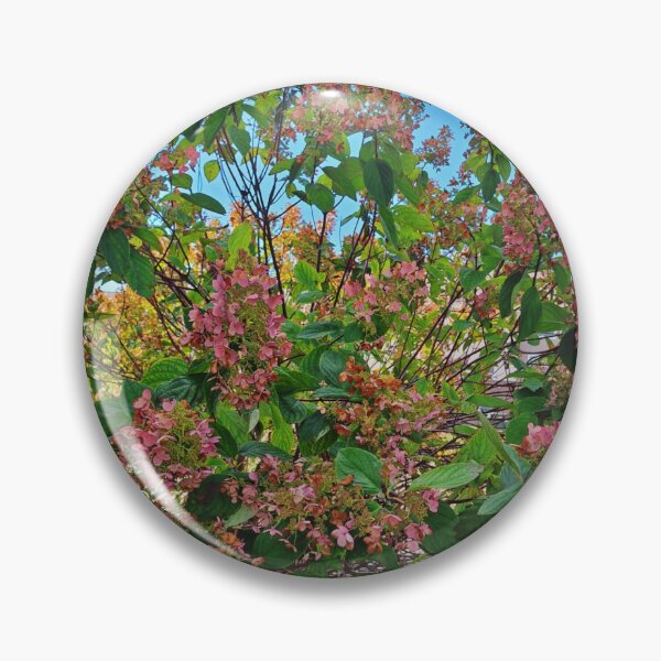 Item preview, Autumn Hydrangea Blush — Ohio Garden in Fall Light designed and sold by Oceandiana.