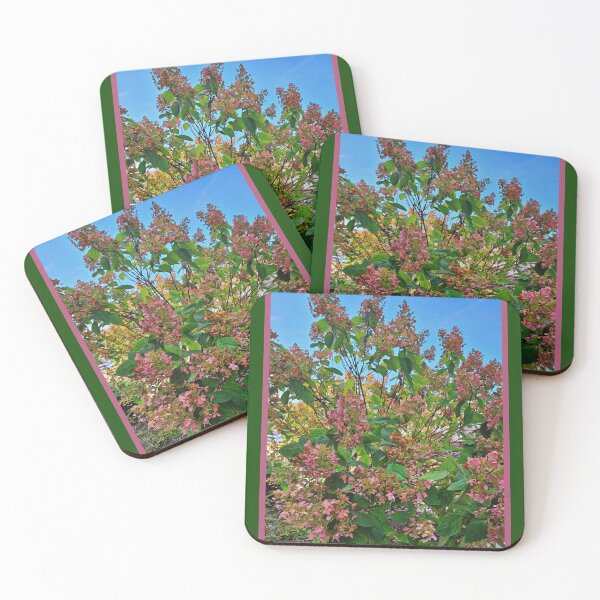Item preview, Autumn Hydrangea Blush — Ohio Garden in Fall Light designed and sold by Oceandiana.
