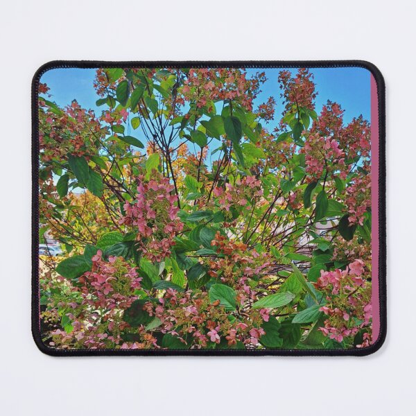 Item preview, Autumn Hydrangea Blush — Ohio Garden in Fall Light designed and sold by Oceandiana.