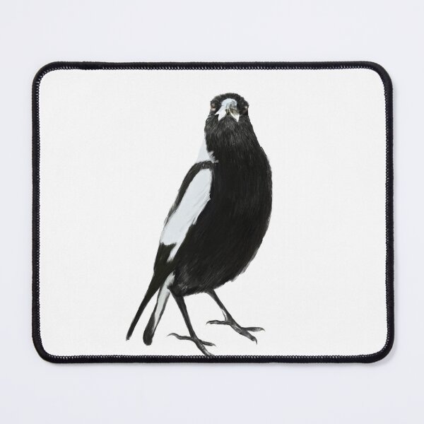 Item preview, Australian Magpie – Full Body Illustration designed and sold by Groombridge Wildlife Studio.