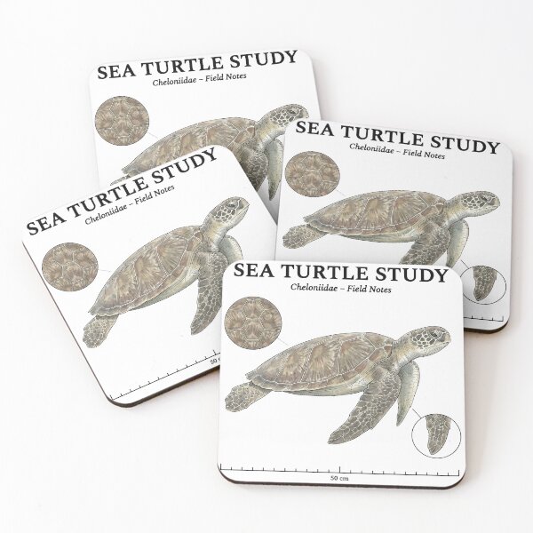 Item preview,  Sea Turtle Study Vintage Biology Field Notes Cheloniidae designed and sold by zoughlal.