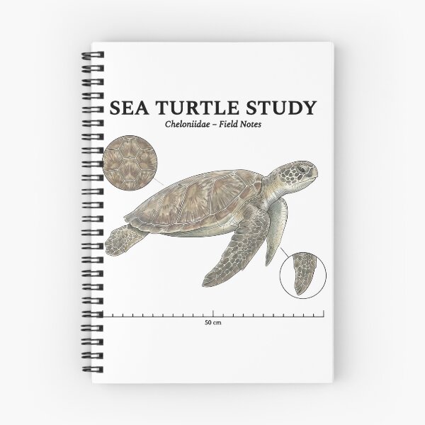 Item preview,  Sea Turtle Study Vintage Biology Field Notes Cheloniidae designed and sold by zoughlal.