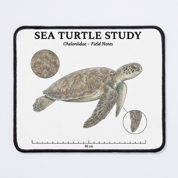 Item preview, Sea Turtle Study Vintage Biology Field Notes Cheloniidae designed and sold by zoughlal.