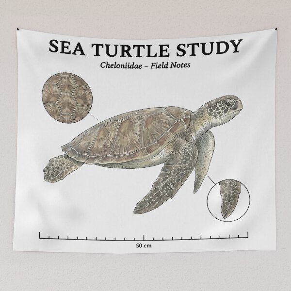 Item preview,  Sea Turtle Study Vintage Biology Field Notes Cheloniidae designed and sold by zoughlal.
