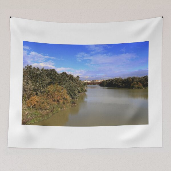 Item preview, The Guadalquivir river designed and sold by annalisa56.