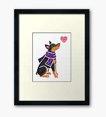 Watercolour Miniature Pinscher Framed Print