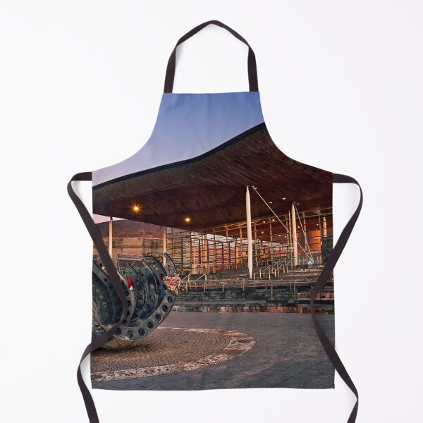 Item preview, Sunrise, Senedd Building, Cardiff Bay designed and sold by VnGphoto.