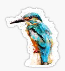Watercolor kingfisher Sticker