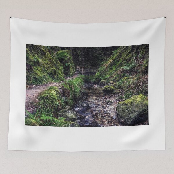 Item preview, Pucks Glen Bridge designed and sold by RJW Images.