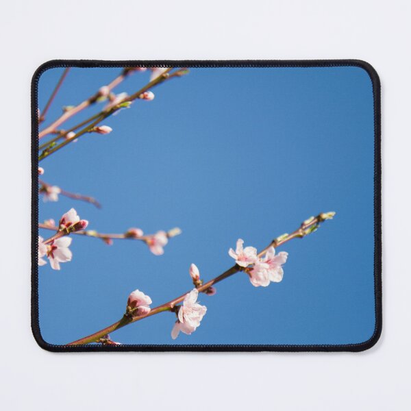 Item preview, Pêcher sur fond bleu designed and sold by Delphine Comte.
